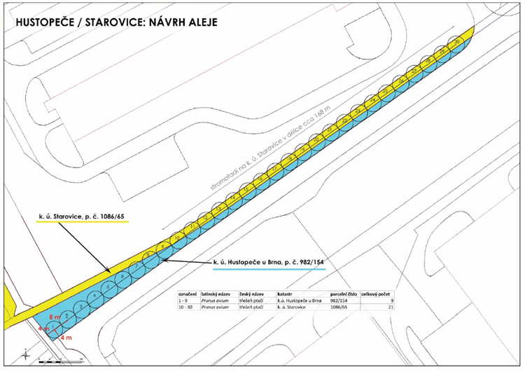 Návrh aleje větrolamu na katastru Hustopeče-Starovice.