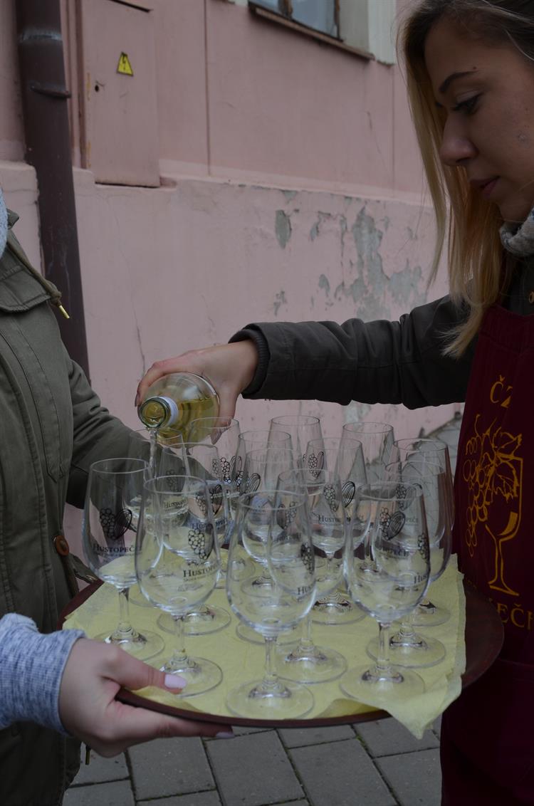 Oslavy svatomartinských vín a husí. Foto: Nina Veselá.
