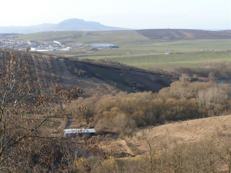 Krajina v okolí mandloňových sadů, Hustopeče (foto Petr Berka)(1)