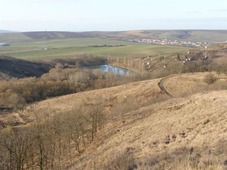 Krajina v okolí mandloňových sadů, Hustopeče, v pozadí obec Starovice (foto Petr Berka)