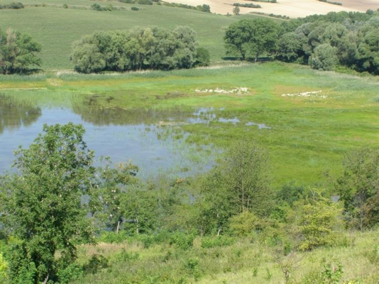 Kurdějovský rybník (foto Petr Berka)