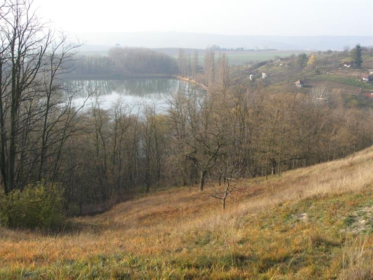Přední rybník, Hustopeče (foto Petr Berka)(1)