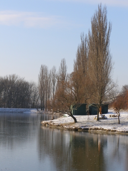 Přední rybník, Hustopeče (foto Petr Berka)(3)