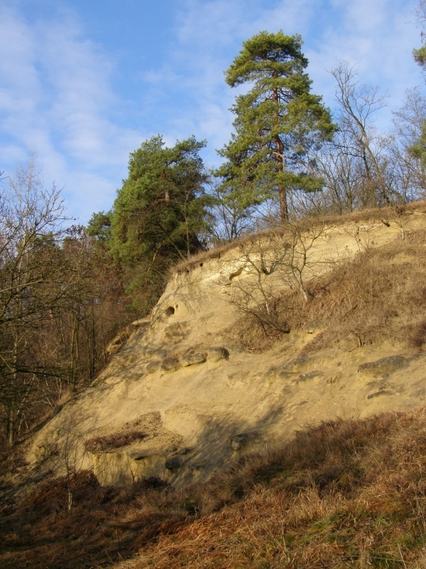 Skalka, Diváky (foto Petr Berka)(3)