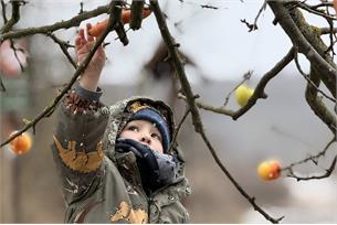 Ohlédnutí na hustopečskými Vánocemi roku 2025