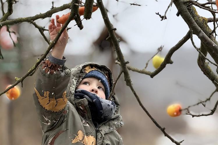 Děti společně ozdobily stromek pro zvířata. 