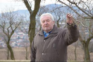 Pan Rudolf Poslušný oslavil 85. narozeniny. Gratulanty přijal přímo v mandloňových sadech