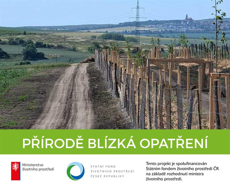 Přírodě blízká opatření