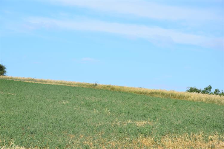 Na horizontu bude 6 m vysoký kříž, od něhož bude vidět na Kapli sv. Rocha