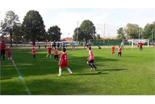 Hustopečský stadion patřil našim fotbalovým nadějím