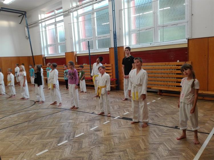 L. F. Club Karate