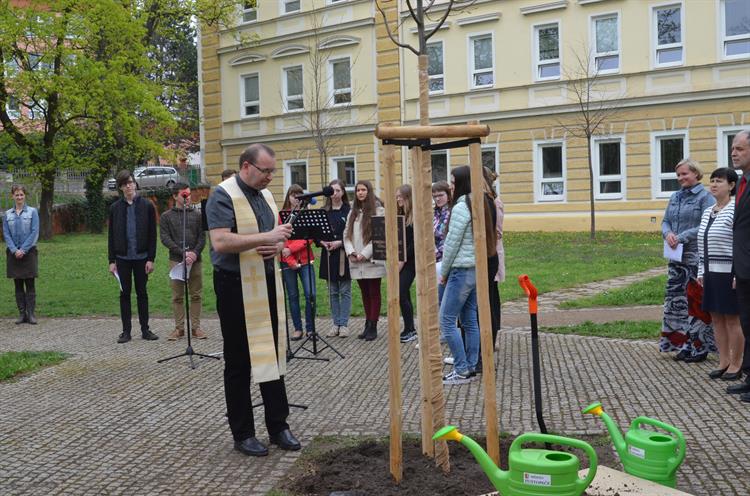 Stromu požehnal probošt Pavel Pacner.