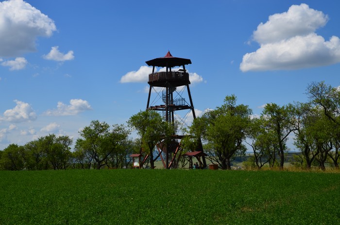 Wanderpfad durch Mandelgarten zum Aussichtsturm