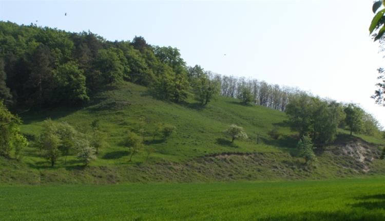 přírodní památka Jesličky, Němčičky (foto Petr Berka)(1)