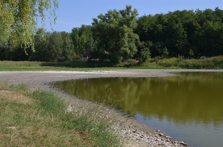 Pohled na nyní vyschlé trdliště ryb. 