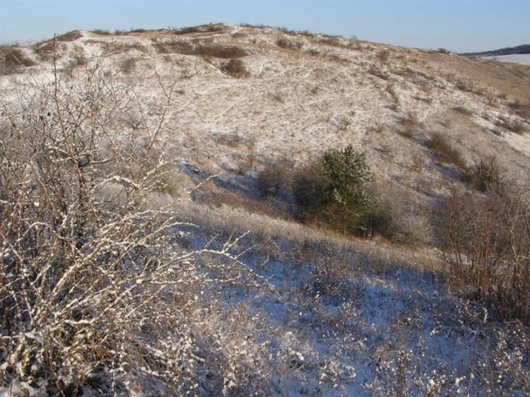 Přírodní rezervace Kamenný vrch, Kurdějov (foto Petr Berka)(1)