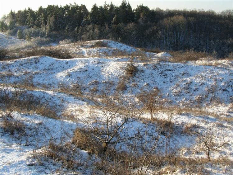 Přírodní rezervace Kamenný vrch, Kurdějov (foto Petr Berka)(2)