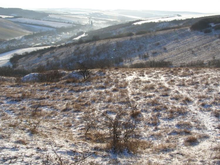 Přírodní rezervace Kamenný vrch, v pozadí obec Kurdějov (foto Petr Berka)