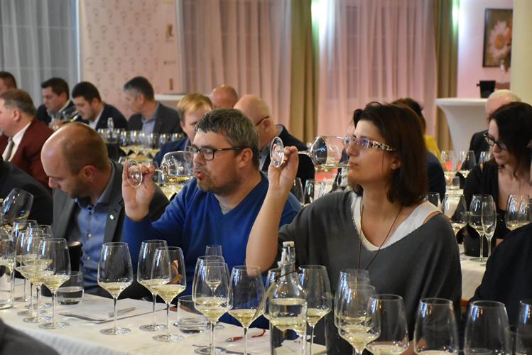 Jeho účastníci degustovali vybrané vzorky vín a diskutovali o vývoji vinařství a vinohradnictví ve světě i u nás
