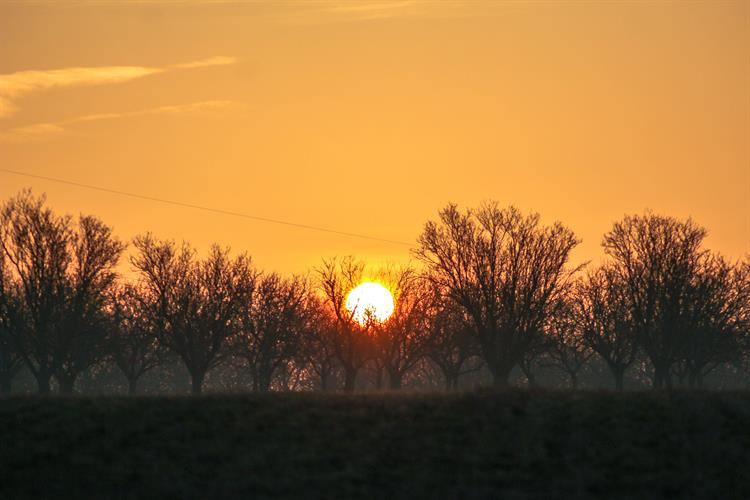 Sluníčko nad hustopečskými mandloněmi vyšlo okolo šesté ráno