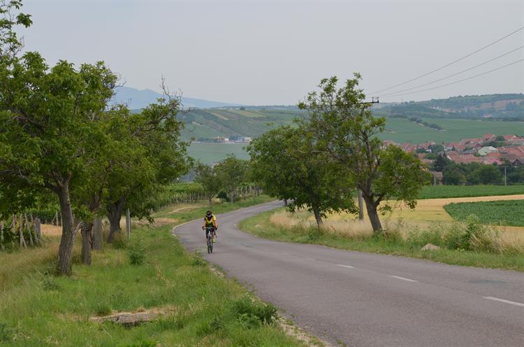 Kopec na Vrbici je náročnější.....