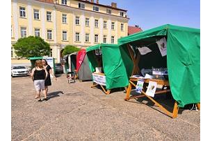 Den sociálních služeb představil patnáct organizací