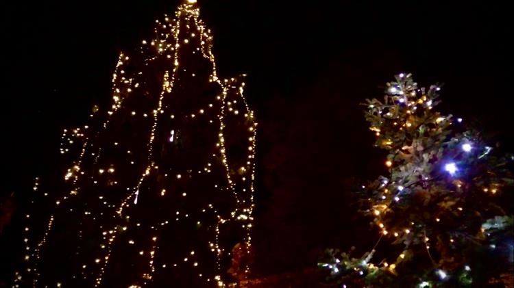 Hustopečím svítí na náměstí hned tři vánoční stromy!