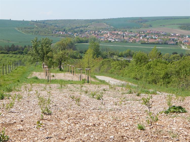 Květen 2016 (pohled na Starovice)