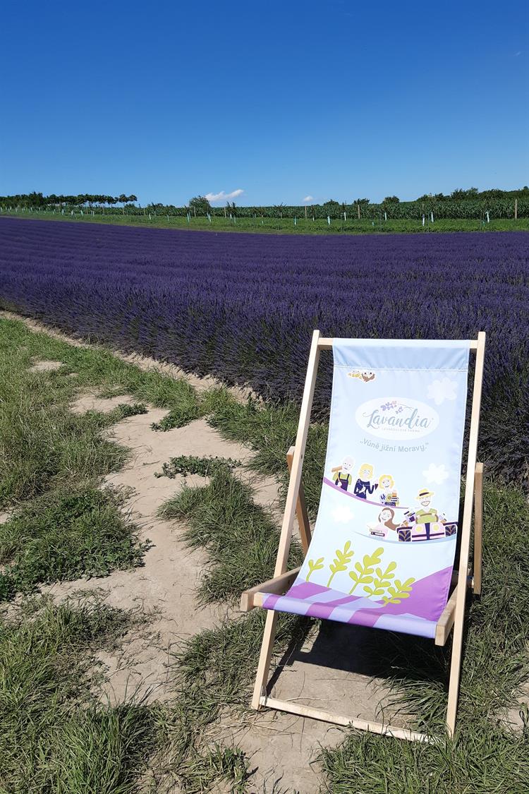 Nádhernou vůni si můžete vychutnat také z tzv. „leváleníčka“. Zdroj: Klára Knápková