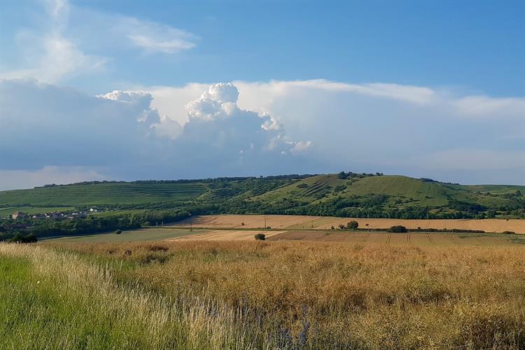 Pouzdřanská step a lesostepní doubrava Kolby patří k nejznámějším přírodním rezervacím jižní Moravy, i floristicky se jedná o evropsky významnou lokalitu.