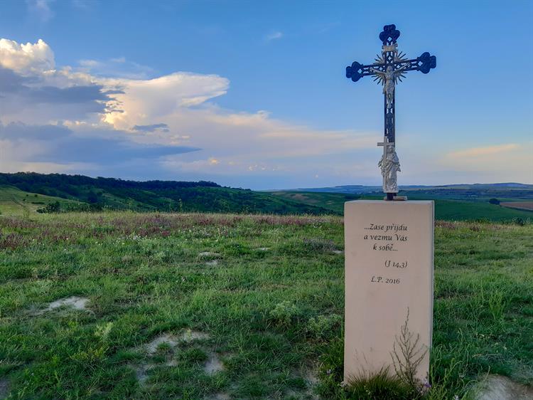 Pouzdřanská step a lesostepní Kolby patří k nejcennějším botanickým lokalitám jižní Moravy. Svou pestrostí se řadí s blízkými Pavlovskými vrchy k nejkrásnějším koutům panonské části Moravy.