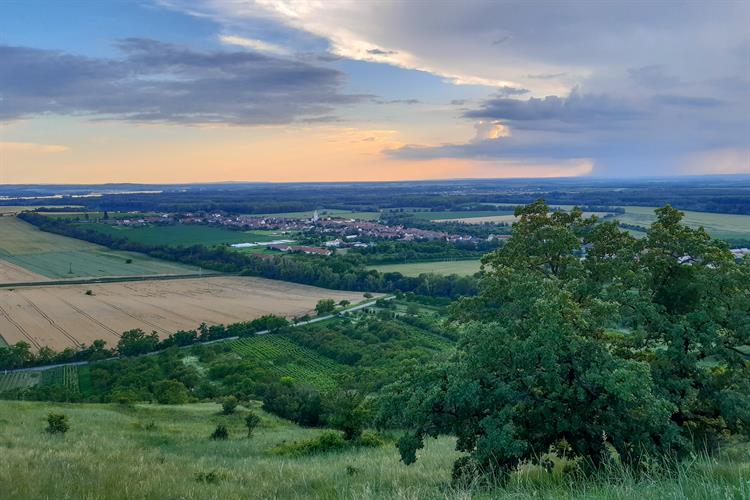 Pohled na obec Pouzdřany, vzdálené 12 km od Hustopečí, jejichž první zmínka pochází z roku 1244, kdy obec patřila herburskému klášteru v Brně. Roku 1581 císař Rudolf II. povýšil ves na městečko a roku 1865 byla v Pouzdřanech postavena nynější škola, kolem které se prochází při výšlapu nahoru.