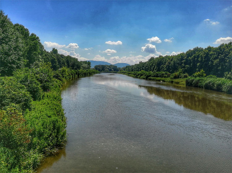 Řeka Svratka 