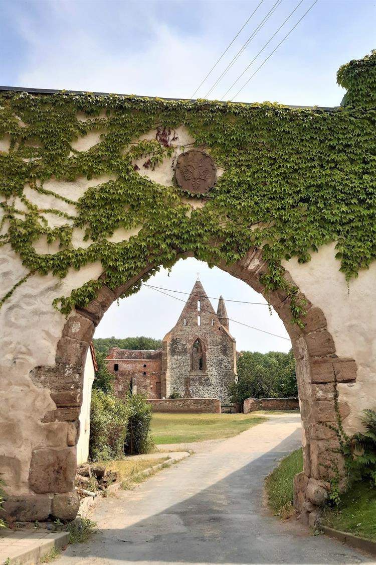 Kouzelná zřícenina kdysi věhlasného kláštera Rosa coeli je nyní známá především pro svoji unikátní architekturu a jedinečnou atmosféru. Zdroj: Klára Knápková