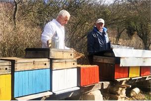 Včely a včelaři na Hustopečsku