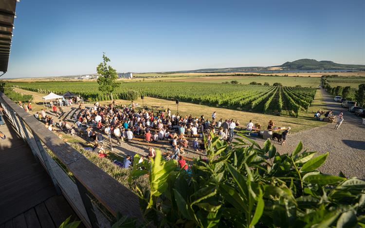 Zavítejte na individuální návštěvu, řízenou degustaci s prohlídkou nebo třeba koncert. Foto: www.sonberk.cz