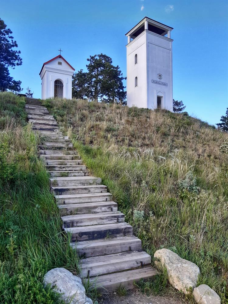 Rozhledna Dalibor je zděná rozhledna nacházející se na Milovické pahorkatině, jihozápadně od obce Zaječí. Zdroj: Klára Knápková