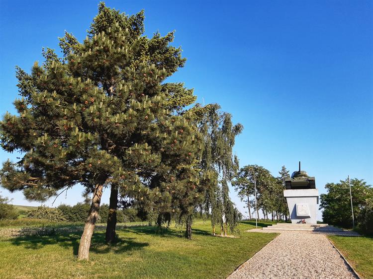 Památník cti, družby a slávy, jak byl původně pojmenovaný, byl vybudován v akci Z v letech 1974 a 1975 občany obce Starovičky. Odhalen byl 20.dubna 1975 samotným přímým účastníkem bitvy u Staroviček, hrdinou SSSR Ivanem Stěpanovičem Mirenkovem. 