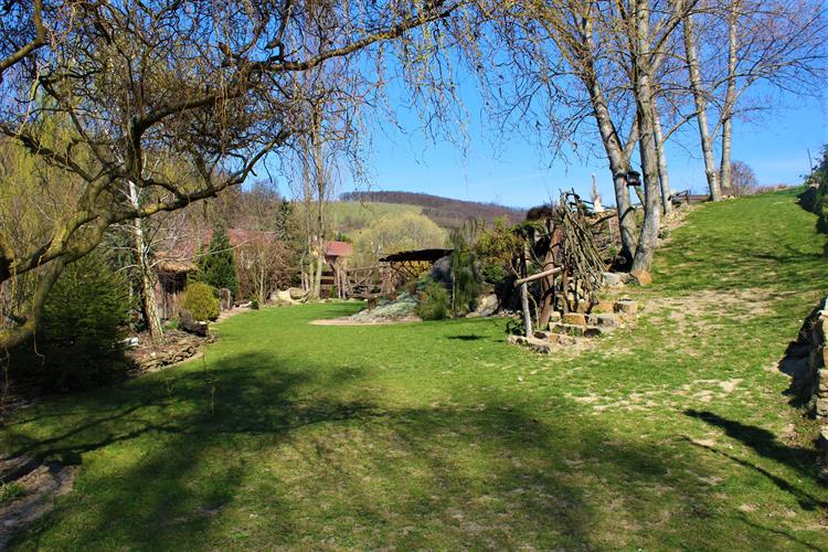 Arboretum v Němčičkách postupně vzniká už deset let, původně to byla součást vinohradu. Majitelé prostor využívali pro vlastní účely, později i pro návštěvníky penzionu. Pro veřejnost se soukromá zahrada otevřela až v dubnu 2021.