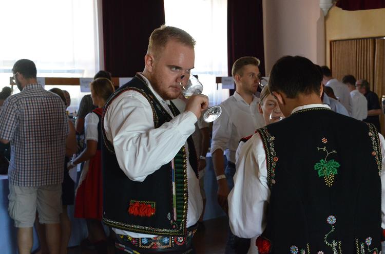 Na výstavě vín k Národní soutěži bylo připraveno na šest stovek vzorků. 