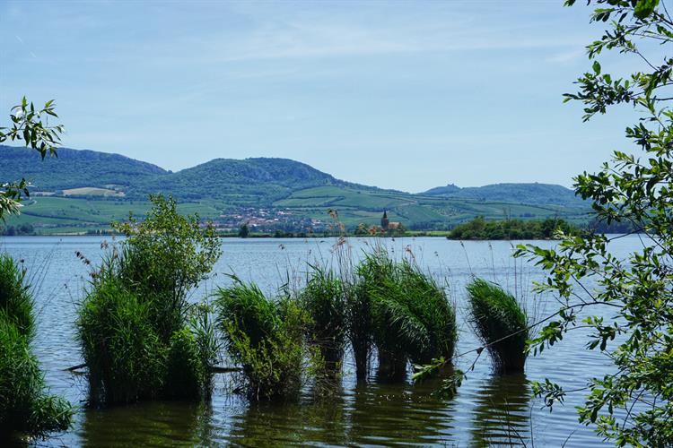 A už se můžeme kochat prvními bližšími výhledy na mušovský kostel sv. Linharta. Vidět je i Sirotčí hrádek nebo vesnice Horní Věstonice. 