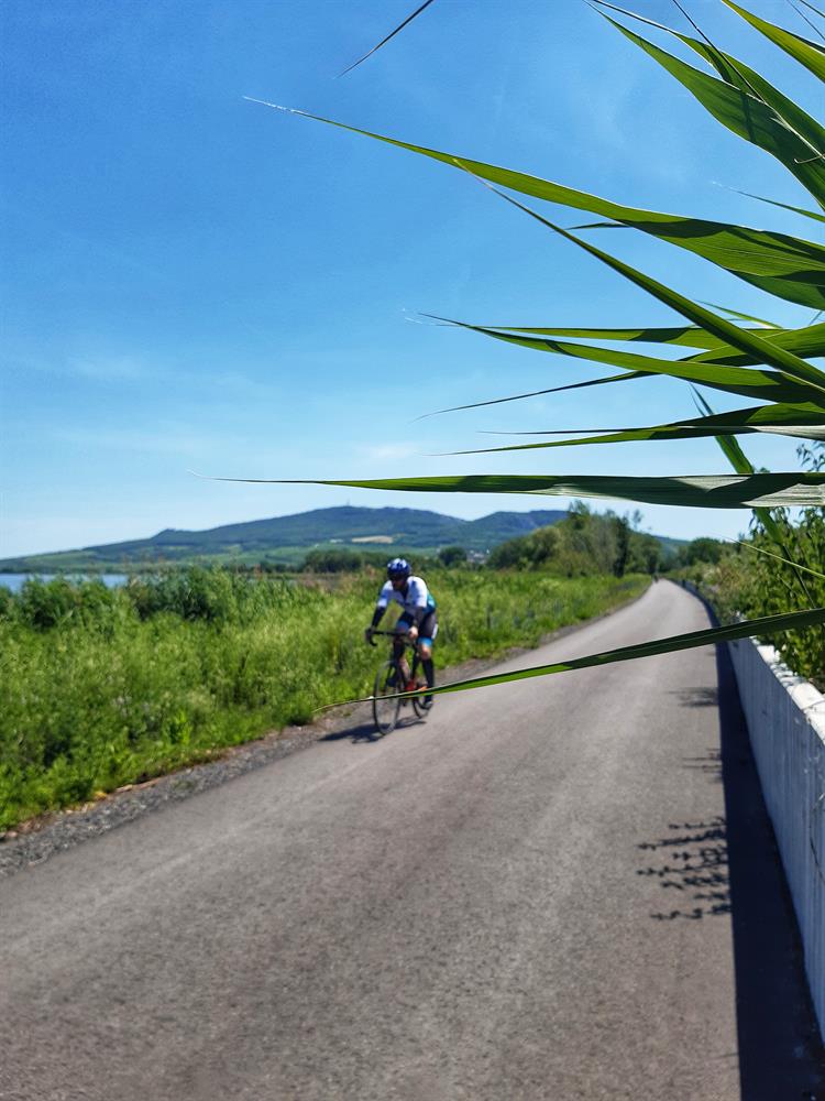 Po odboční doleva jsme najeli na rok novou, 2,6 km dlouhou cyklostezku vedoucí kolem státní silnice Brno–Vídeň. Při odbočení doprava bychom dorazili k Aqulalandu Moravia či k návštěvnickému centru Brána do říše Římské. 