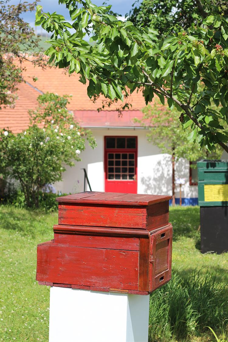 Vilémův velkovčelín čítal až devadesát včelstev. Jednalo se o jednoduchou ale vskutku gigantickou zastřešenou konstrukci, v níž byly ve dvou patrech uloženy úly. Vilémův dům čp. 57 v roce 1958 vykoupila obec Diváky ze soukromých rukou od osob, které s Mrštíky nebyly nijak příbuzensky spojeny, dům se v té době tedy nacházel téměř prázdný. Sbírkotvornou činností pracovníku Regionálního muzea v Mikulově se podařilo několik původních úlů po Vilémovy od diváckých obyvatel získat, takto se do Památníku dostaly úly od Mikuláše Gratcla, který pokračoval v chovu včel v diváckém okolí a jsou to nejspíš právě jeho úly, které se dostaly do Památníku bratří Mrštíků.