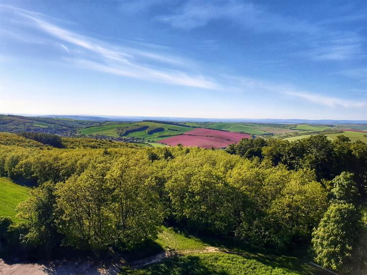 Nedánov je třetí nejvyšší vrchol po Pálavě dosahující výšky 368 m n. m. Kopec sloužil mimo jiné strážným účelům a do nedávné doby na severní straně jako zdroj kamene pro stavební účely. V listopadu roku 1984 zde byly také zahájeny práce na průzkumném vrtu, skončily o rok později a jejich cílem bylo zjištění přítomnosti nafty. Ta se však nepotvrdila, a tak byl vrt hluboký 5,5 km po třech letech zasypán. Na jeho místě se pro příhodnou polohu postavila rozhledna. 