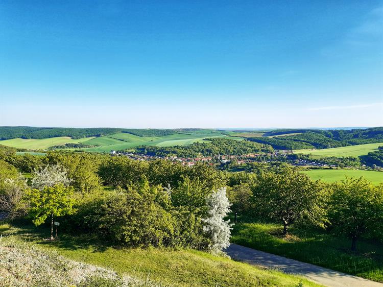 Dominantou městyse je původně románský kostel sv. Jana Křtitele pocházející z druhé poloviny 13. století. Ke kostelu byla přistavěna gotická věž. Další památkou v obci je socha sv. Jana Nepomuckého z roku 1832 a kaplička sv. Rocha z roku 1888. Boleradice jsou známé i svým divadelním spolkem, který provozuje zdejší divadlo, jediné v okrese Břeclav.