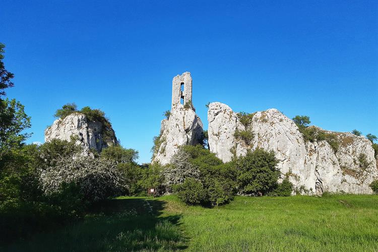 Hrad z přelomu 13. a 14. století byl vybudován na dvou rozeklaných skalních útesech a svůj název Sirotčí hrad (Rossenstein) dostal podle rodu Wehingenů. Zanikl zřejmě někdy před rokem 1590.