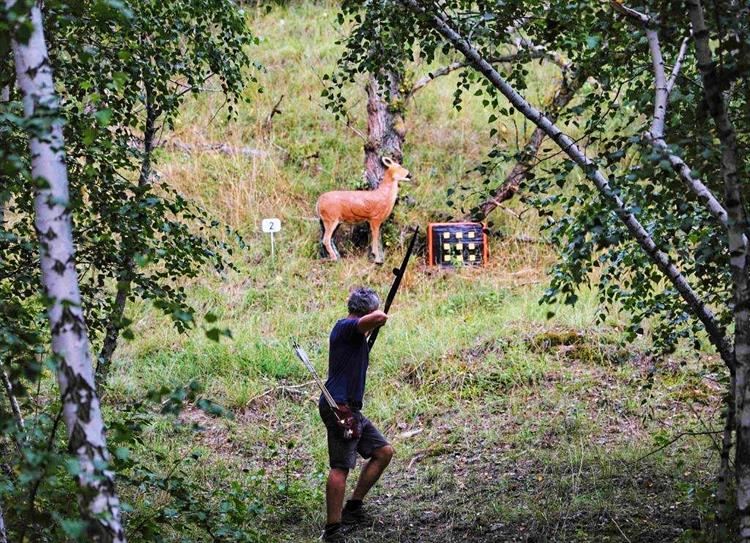 Jedná se o střelbu lukem na modely zvířat v životní velikosti zasazené, pokud možno do jejich přirozeného prostředí. Soutěžní trať se staví většinou v přírodě a střílí se za každého počasí. Ve 3D lukostřelbě se konají různé typy soutěží.