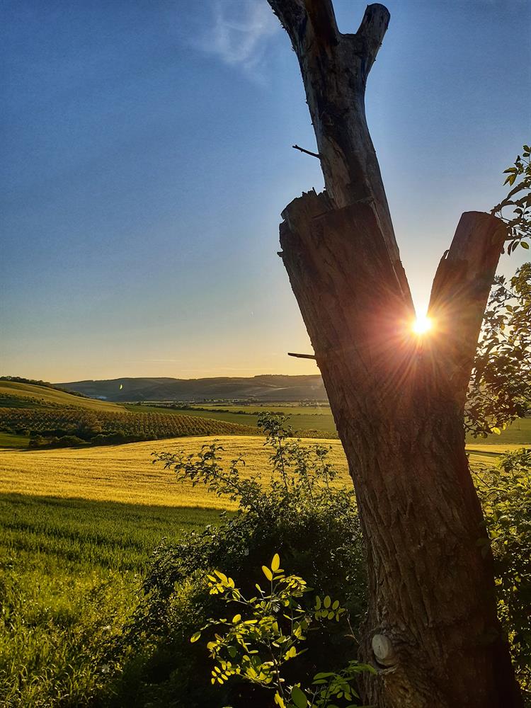 Při západu sluníčka se zde můžete pokochat výhledy do polí a ovocných sadů.