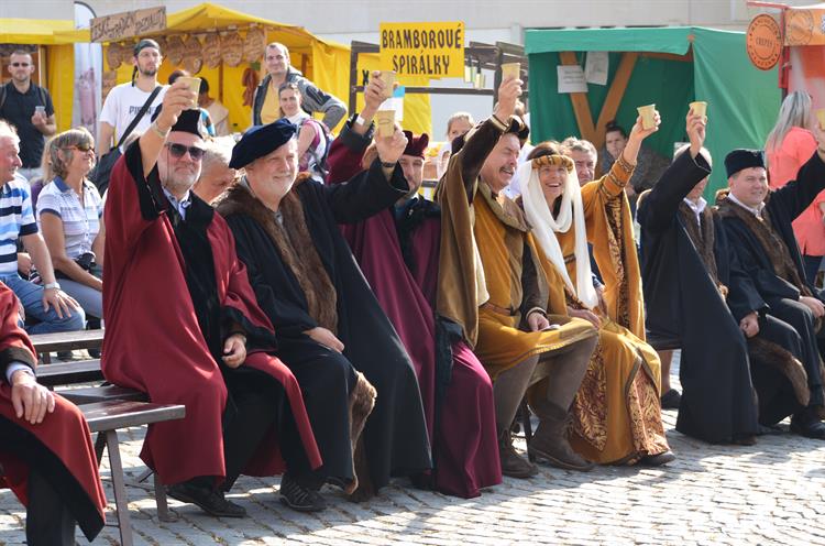 Burčákové slavnosti 2016, sobota. Foto: Jana Rozková.