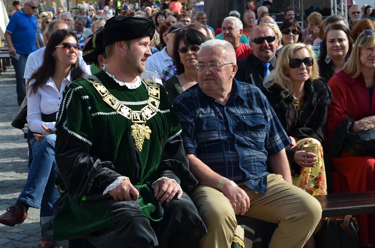 Burčákové slavnosti 2016, sobota. Foto: Jana Rozková.